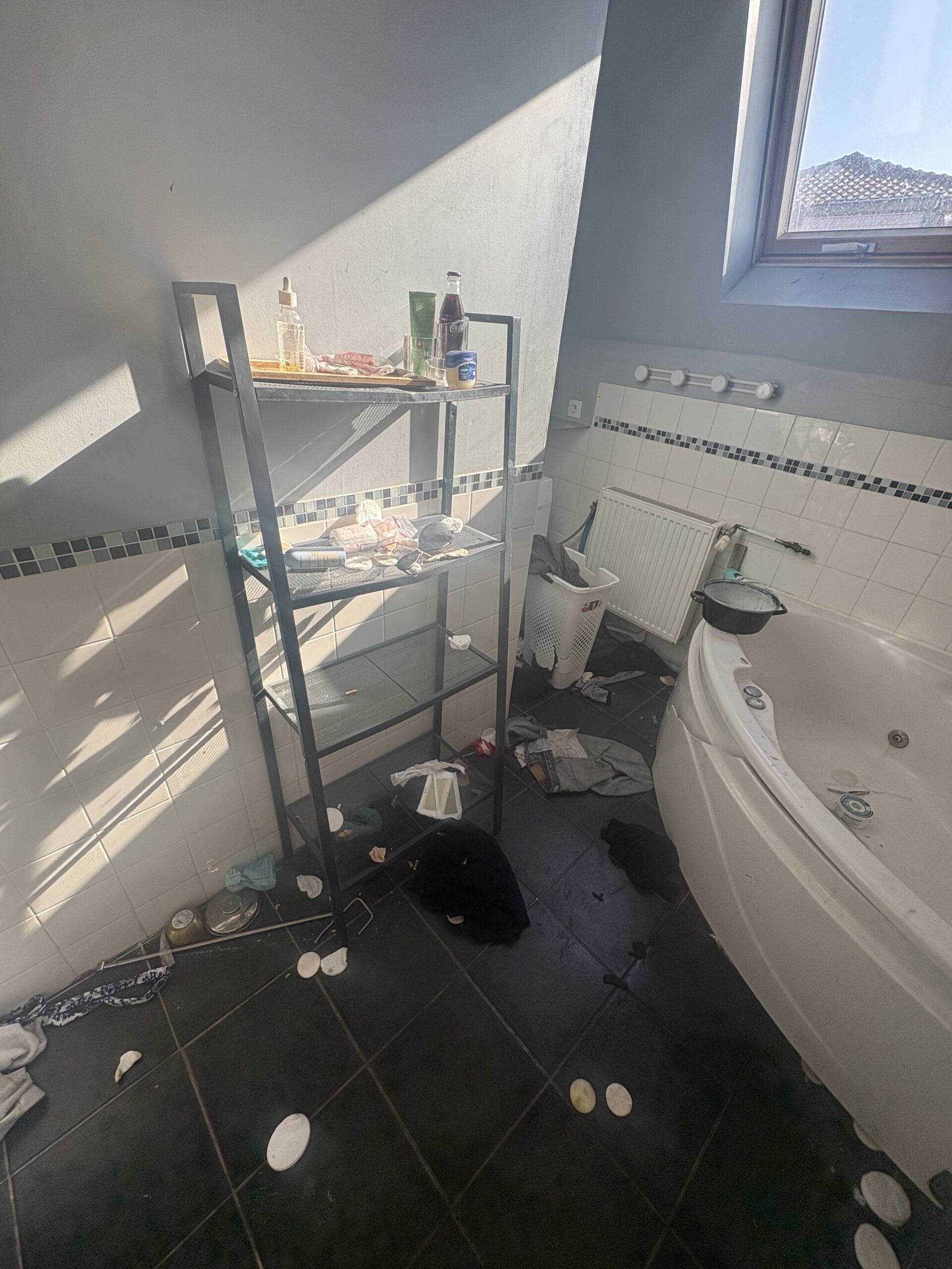 why-choose-us IMG 1194 Scaled